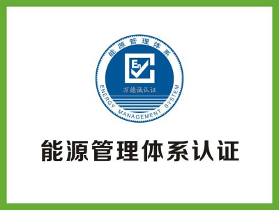管理管理体系认证审查进程