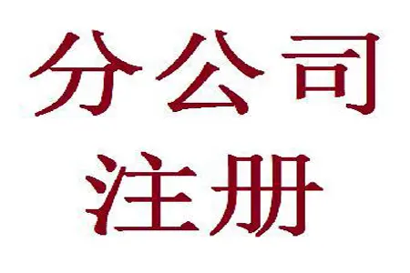 注册分公司注册手续是什么