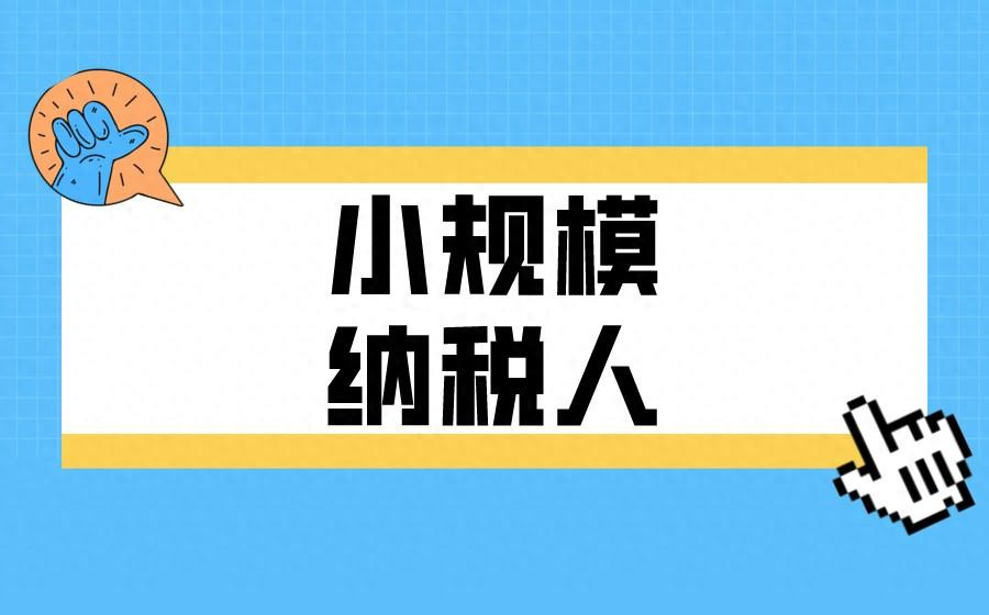 小规模纳税人和一般纳税人有什么区别？